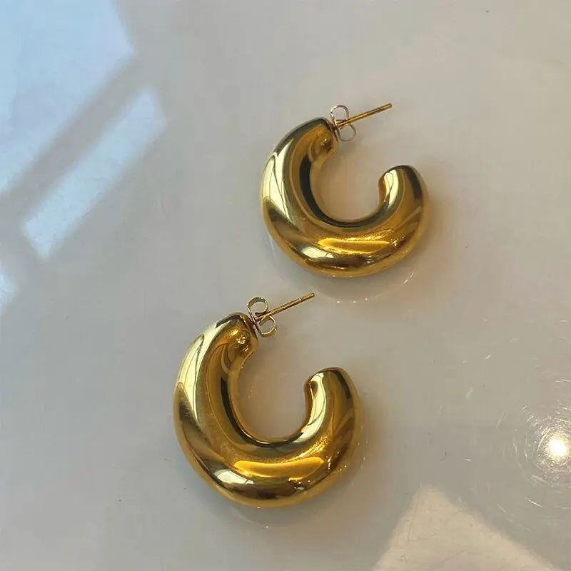 Titanium Shiny Geo Hoop Earrings Women Jewelry Punk Hiphop Designer Runway Rare Simply Gown Boho Top Japan Korean