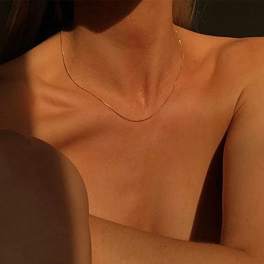 Titanium With 18K Gold Thin Snake Chian Choker Necklace Designer T Show Runway Gown  Rare INS Japan Korean Boho Gothic Hip Hop
